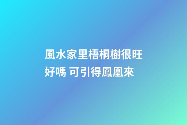 風水家里梧桐樹很旺好嗎 可引得鳳凰來